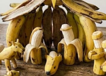 Photo stories of the week