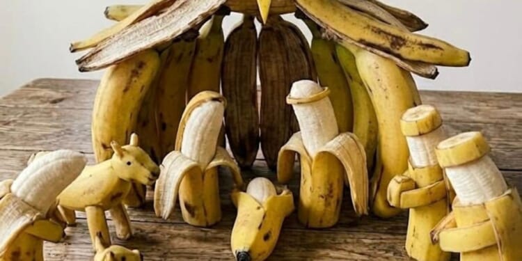 Photo stories of the week