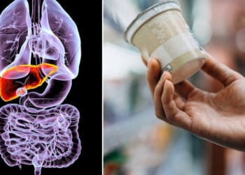 Key ingredient in 'low-calorie' products raises new liver health concerns