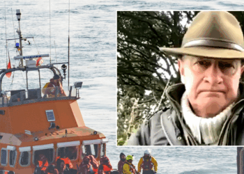 Ex-Ukip leader issues stark security threat after 800 migrants cross Channel