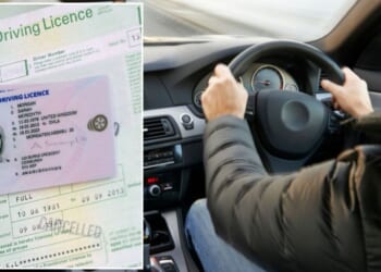 Driving licence changes could see Britons banned from carrying passengers as new plans gain support
