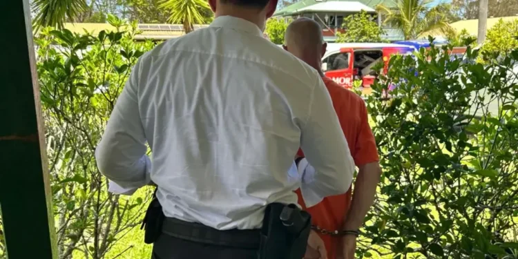 British man set for deportation for 'displaying Nazi symbols'