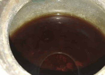 Archaeology breakthrough as experts uncover world's oldest bottle of wine at Roman burial site