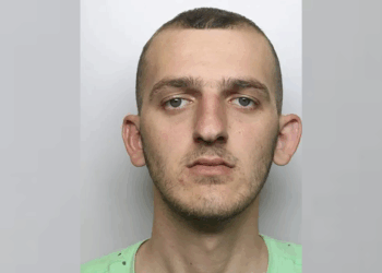 Albanian drug offender who grew 200 cannabis plants avoids deportation under ECHR because his girlfriend does not speak his language