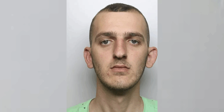 Albanian drug offender who grew 200 cannabis plants avoids deportation under ECHR because his girlfriend does not speak his language