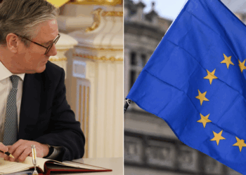 With all eyes on Christmas, Labour quietly greenlights sweeping EU regulation for WHOLE of Britain