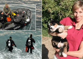 'Fearless' triathlete dies after 'being dragged away by shark while swimming'