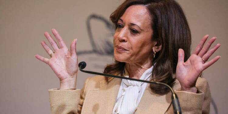 2024 Election Autopsy Report Is So Bad Democrats Are Burying It