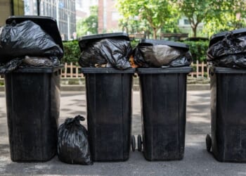 All homes in England set for major new bin rules in 2026 | UK | News