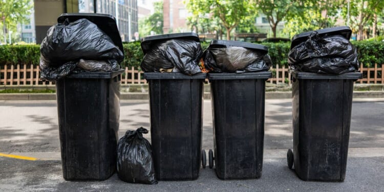 All homes in England set for major new bin rules in 2026 | UK | News