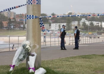 Alleged Bondi shooter held hunting licence before attack | World | News