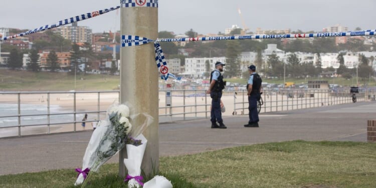 Alleged Bondi shooter held hunting licence before attack | World | News