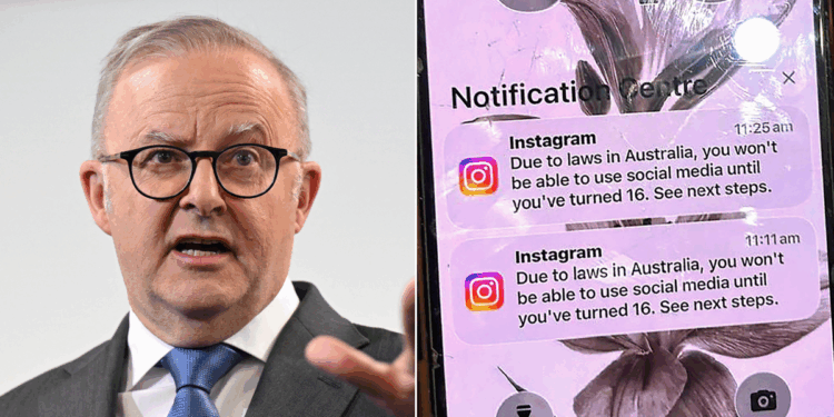 Australia social media ban plunged into chaos as youths flock to CHINESE alternatives