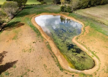 Beyonce and Jay Z's new Cotswolds home that relies on a 'rich person loophole' | Celebrity News | Showbiz & TV