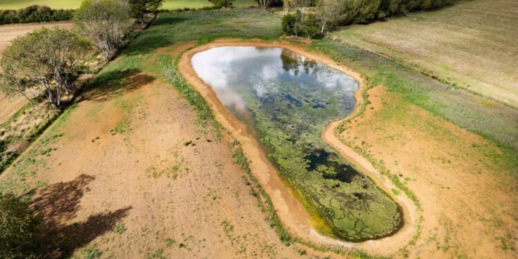 Beyonce and Jay Z's new Cotswolds home that relies on a 'rich person loophole' | Celebrity News | Showbiz & TV