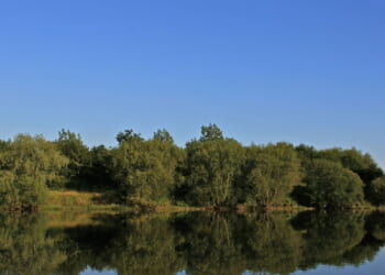 Bird flu confirmed in UK area as officials urge locals 'don't do this' | UK | News