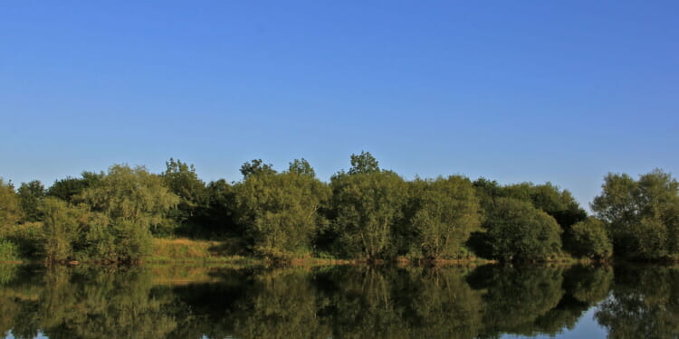Bird flu confirmed in UK area as officials urge locals 'don't do this' | UK | News