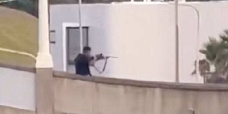 Bondi Beach alleged gunman charged with 59 offences | World | News