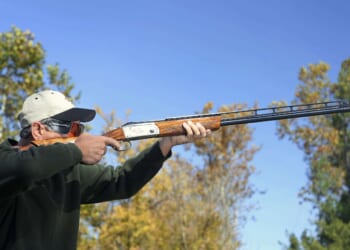 Brickbat: Vacation Photos