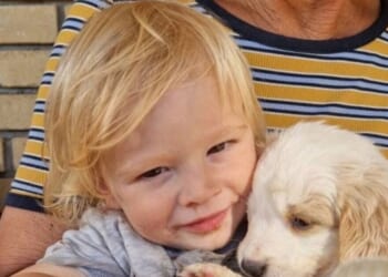 British toddler, 2, mauled to death by pitbull on Greek holiday island pictured | World | News