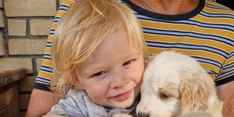 British toddler, 2, mauled to death by pitbull on Greek holiday island pictured | World | News
