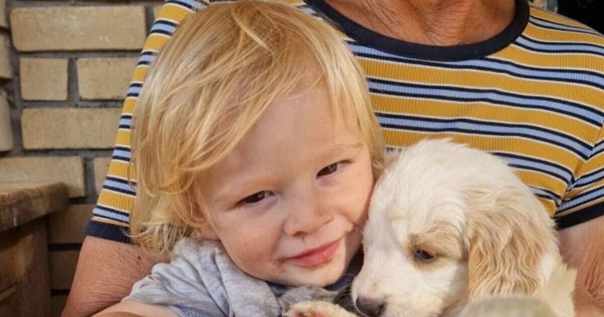 British toddler, 2, mauled to death by pitbull on Greek holiday island pictured | World | News