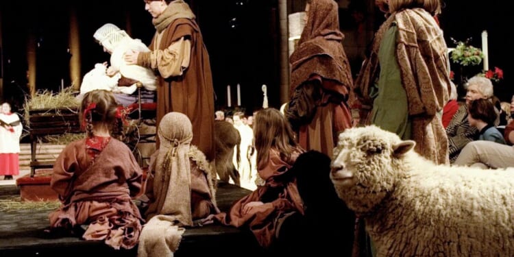 Chaos in France as protests break out over nativity scene - "not here! | World | News