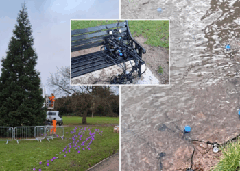 'Christmas is cancelled!' Fury erupts after lights taken from tree as police launch investigation