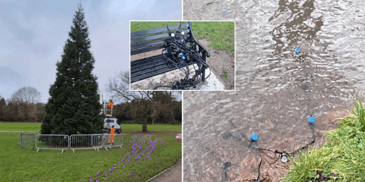 'Christmas is cancelled!' Fury erupts after lights taken from tree as police launch investigation