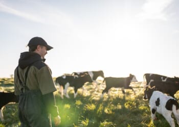 Church Commissioners reduce carbon footprint from farmland