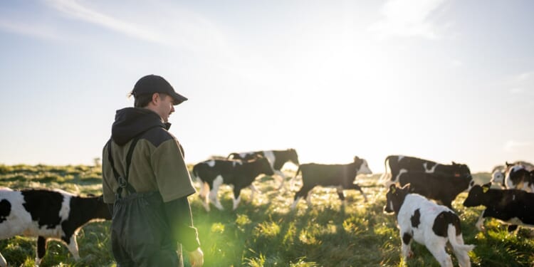 Church Commissioners reduce carbon footprint from farmland