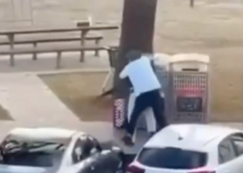 Civilian Ambushes Terrorist At Bondi Beach, Wrestles Rifle Away