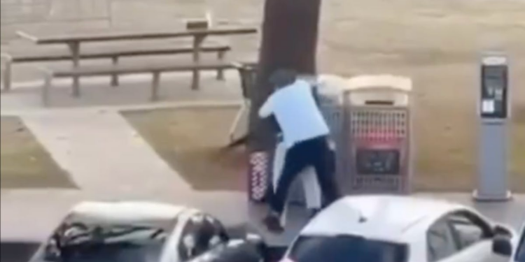 Civilian Ambushes Terrorist At Bondi Beach, Wrestles Rifle Away