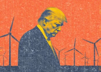Court blocks Trump's ban on wind power, but other anti-renewable policies remain
