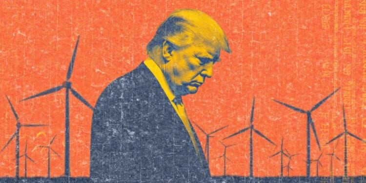 Court blocks Trump's ban on wind power, but other anti-renewable policies remain