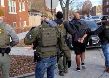 DHS Rolls Out Searchable Criminal Illegal Alien Arrest Platform