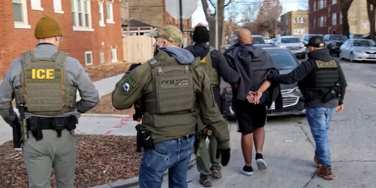 DHS Rolls Out Searchable Criminal Illegal Alien Arrest Platform