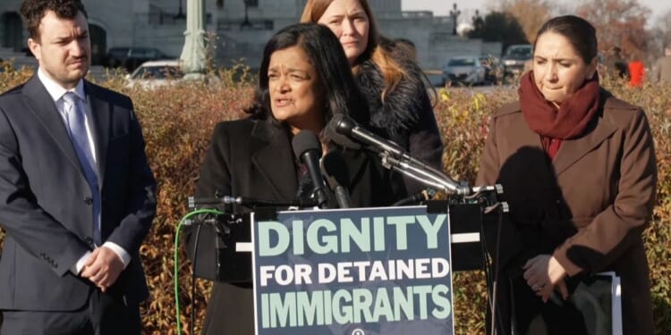 Democrat Plan To Undermine ICE Has A DEI Twist