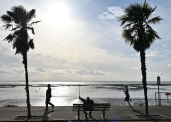 Dinosaur-disguised fly-tipper avoids hefty fine | UK | News