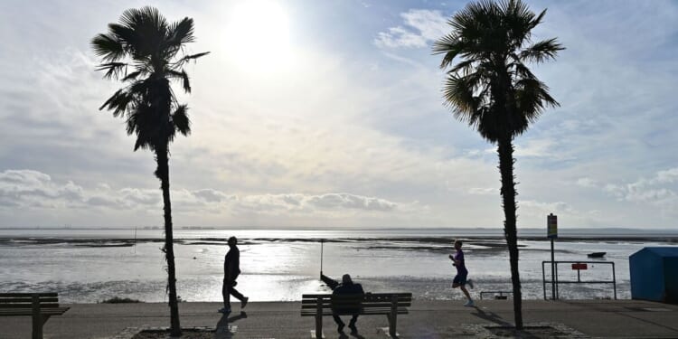 Dinosaur-disguised fly-tipper avoids hefty fine | UK | News