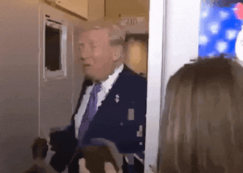 Donald Trump clashes with reporters in awkward moment as he asks 'are you stupid?'