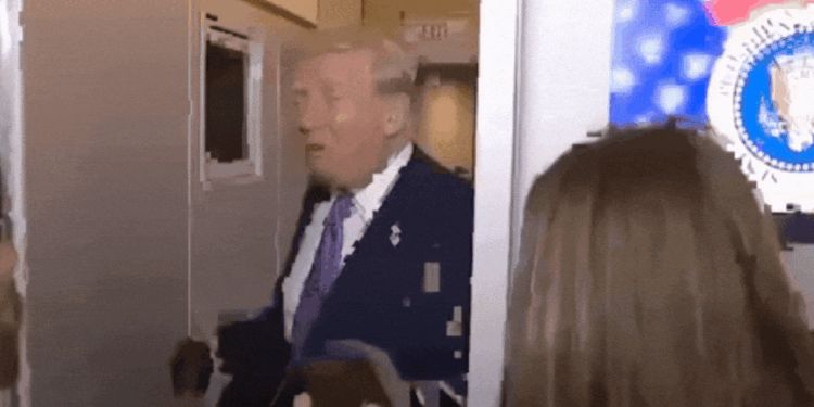 Donald Trump clashes with reporters in awkward moment as he asks 'are you stupid?'