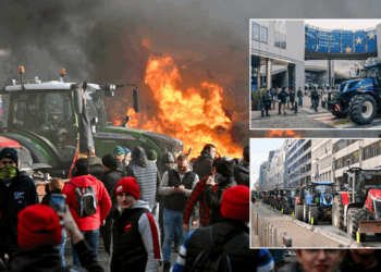 EU forced to delay hated new plans after farmers stage extraordinary protest