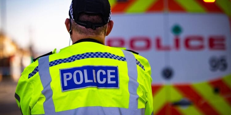 Four arrested after Christmas Day brawl at UK beauty spot | UK | News