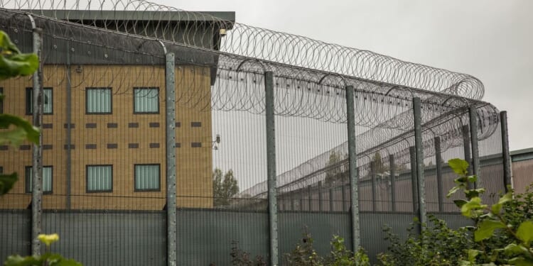 Fury as 'first class' healthcare given to migrants set for deportation | UK | News