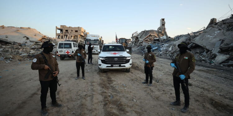 Hamas creeps systematically stalked female Gaza aid workers | World | News