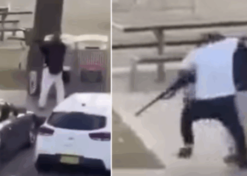 Hero shopkeeper who wrestled rifle from gunman hospitalised after Bondi Beach shooting