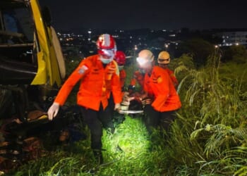 Horror as 16 killed in bus crash at tourist hotspot | World | News