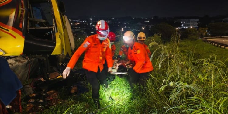 Horror as 16 killed in bus crash at tourist hotspot | World | News