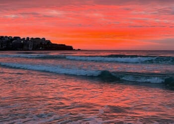 'I live in Bondi - yesterday evil arrived' | World | News